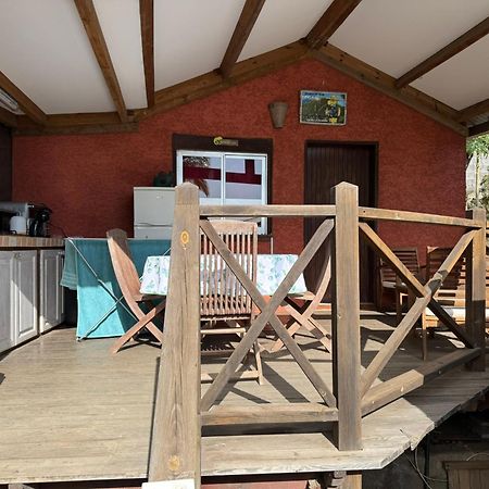 La Bananeraie Apt 35M2 Piscine Jardin Tropical Parking Prive سان لوي المظهر الخارجي الصورة