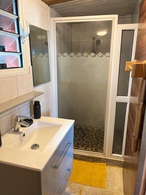 La Bananeraie Apt 35M2 Piscine Jardin Tropical Parking Prive سان لوي المظهر الخارجي الصورة